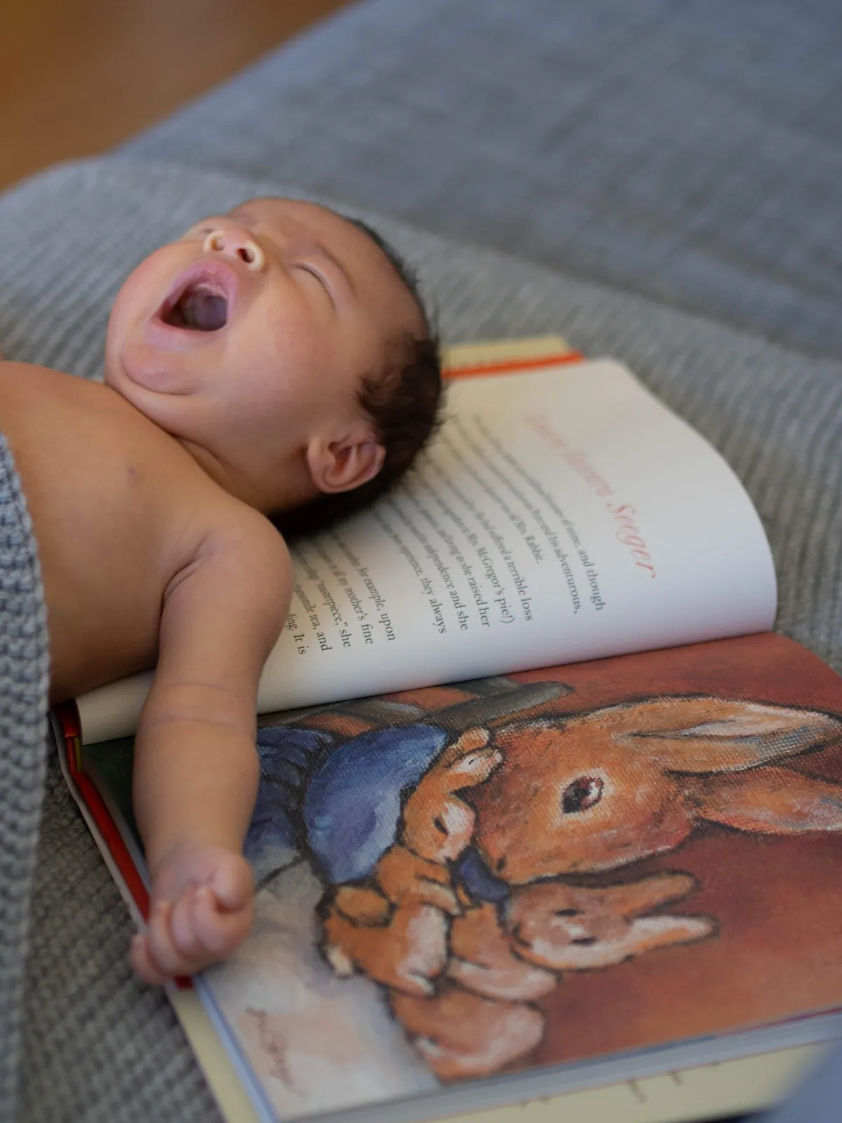 Newborn Sessions image 1