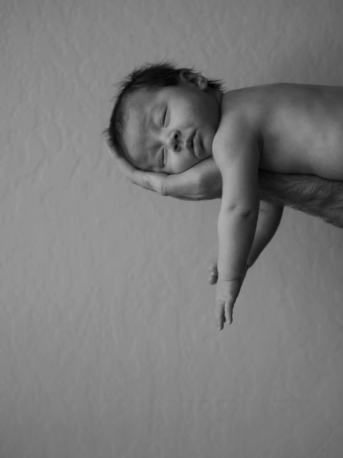 Newborn Sessions image 3